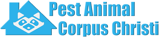 Corpus Christi Wildlife and Animal Removal